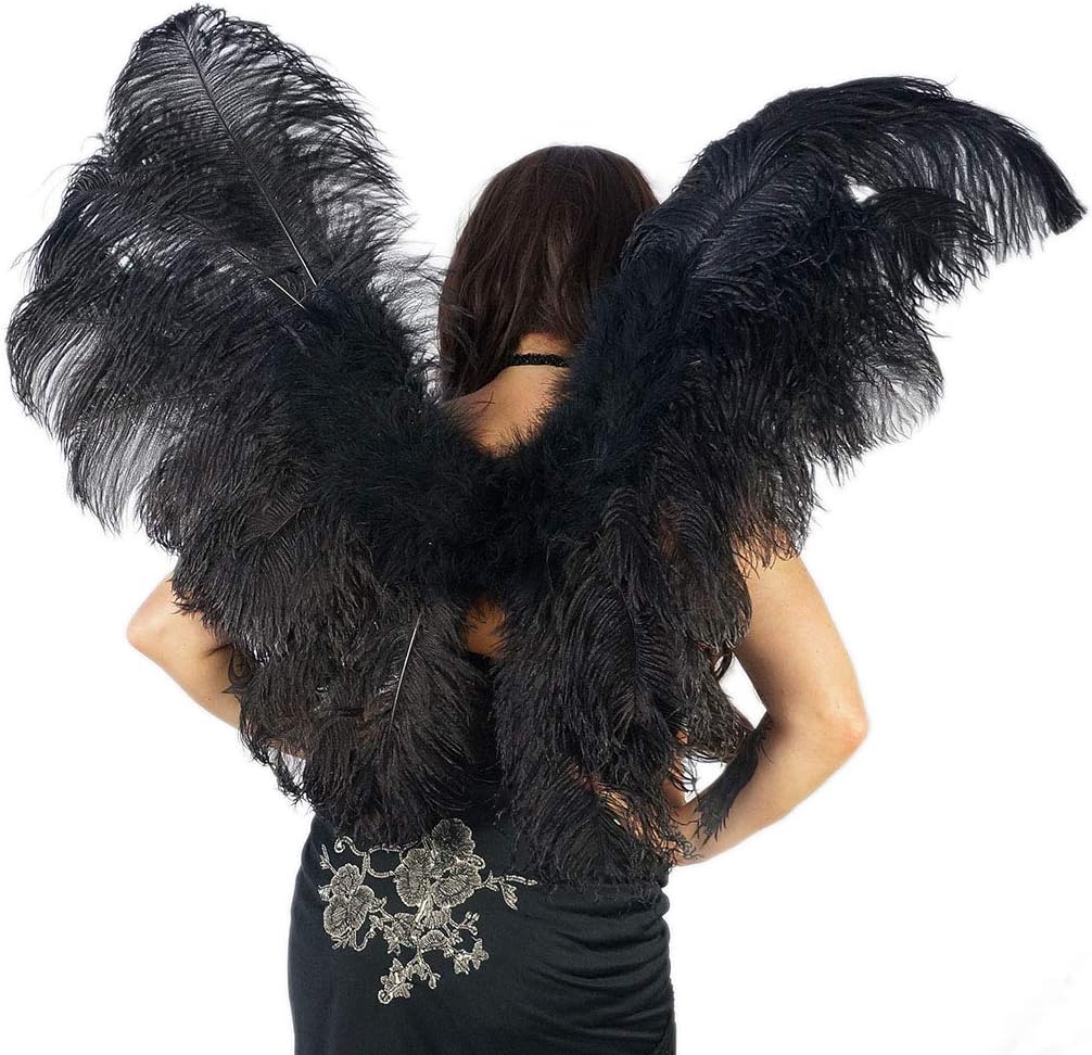 ZUCKER Ostrich Feather Wings