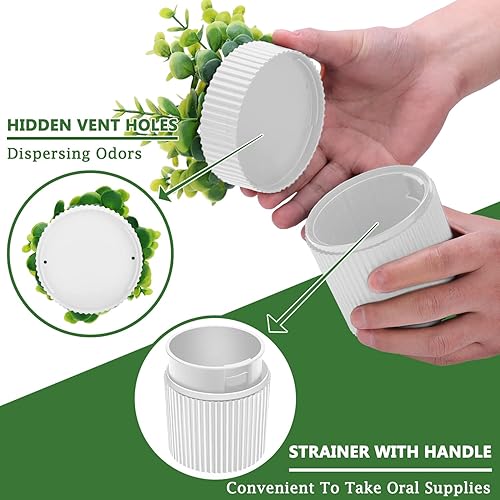 Miniatura 2 de Baño de dentadura, estuche invisible para dentaduras postizas diseñado como plantas artificiales en maceta de eucalipto, copa de dentadura con