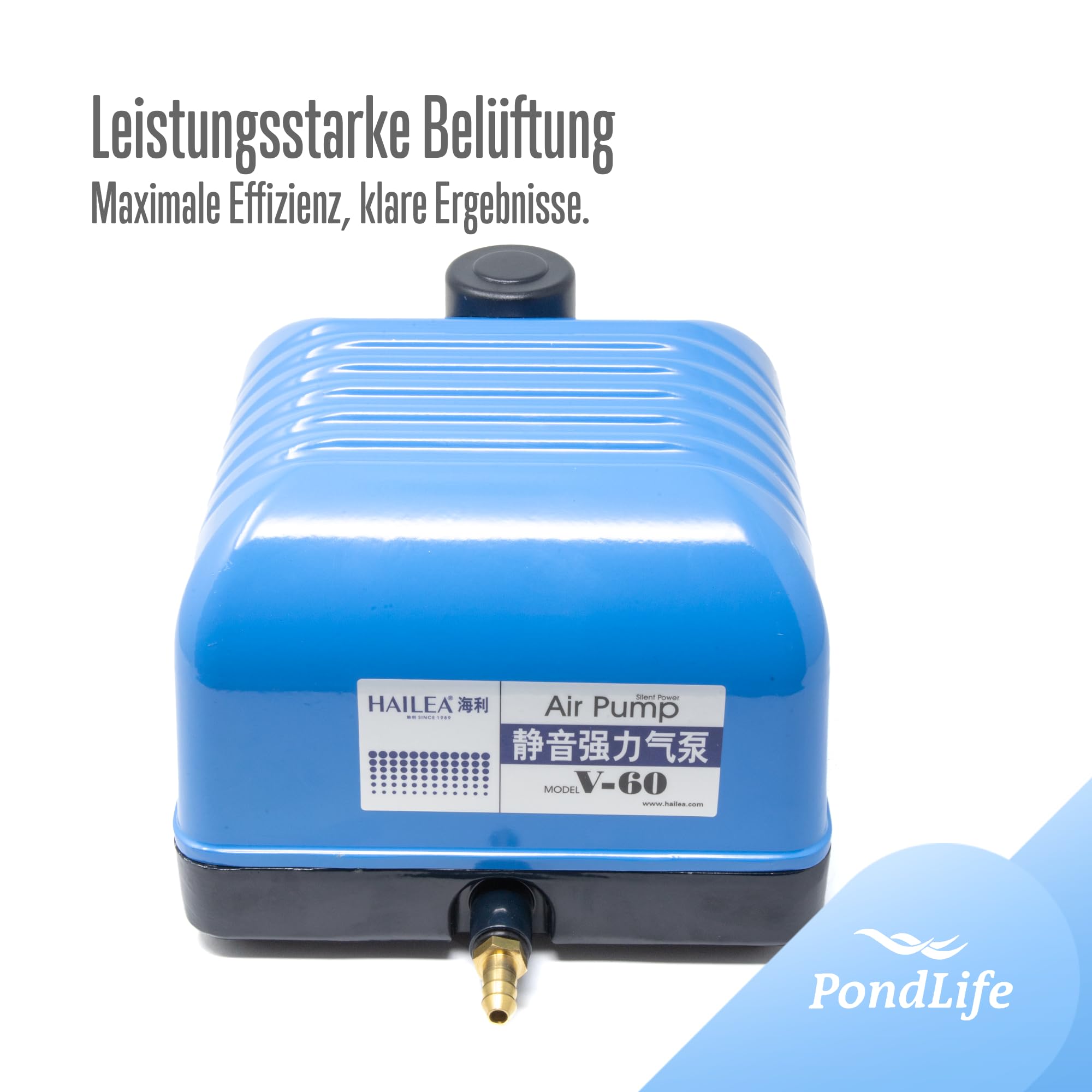 Pondlife Belüfter Komplett Set V-60 - Leistungsstark - Qualitativ - Luftverteiler - Belüftersteine - Schlauch inkl.
