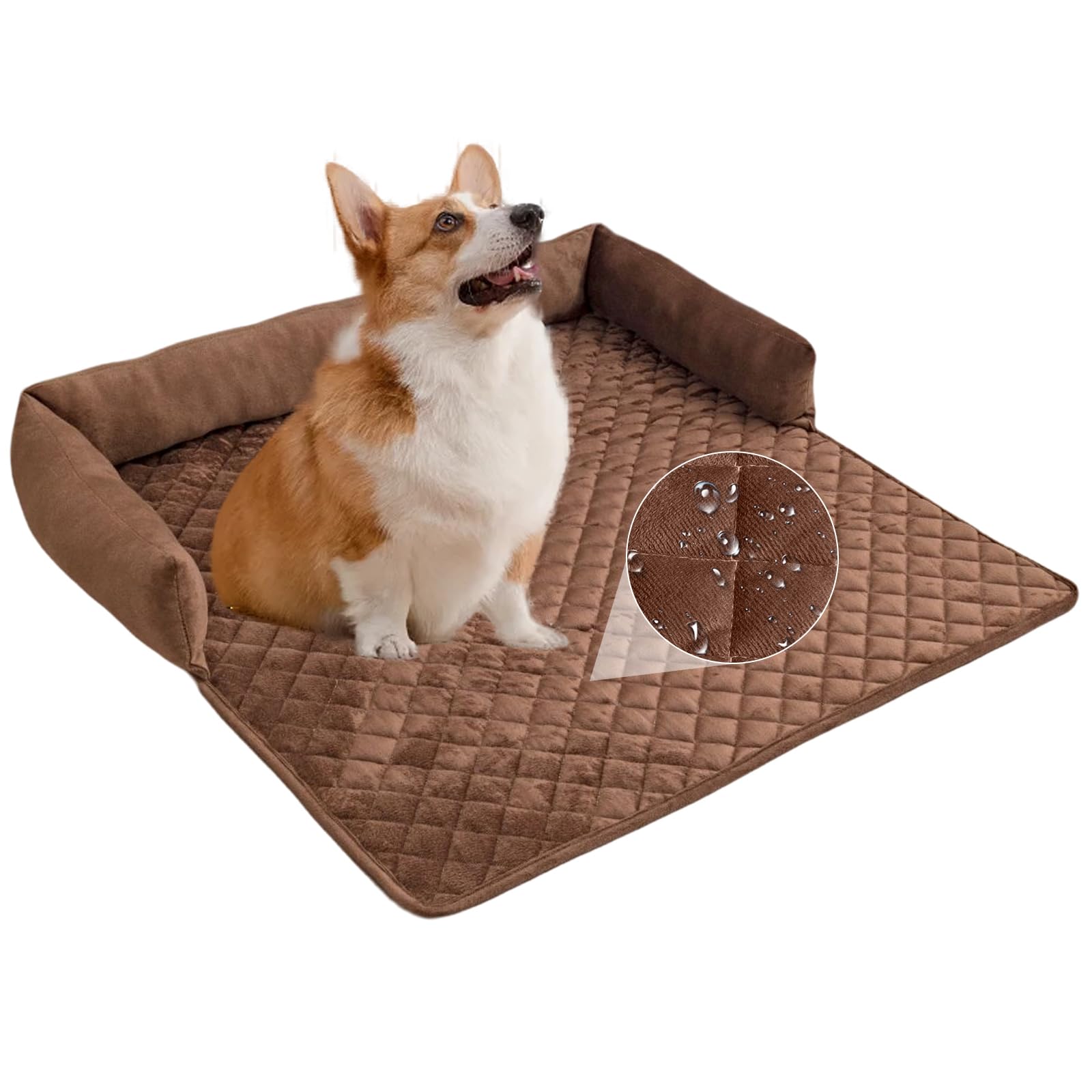 Muso Per Gatto Trasparente - Casco Antileccamento E Antimorso Con Fori Traspiranti - Foto 5