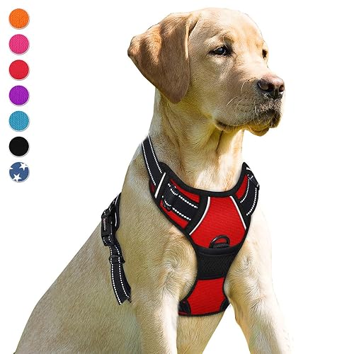 BARKBAY Arnés antitirones con Clip Frontal para Perro, Resistente, Reflectante