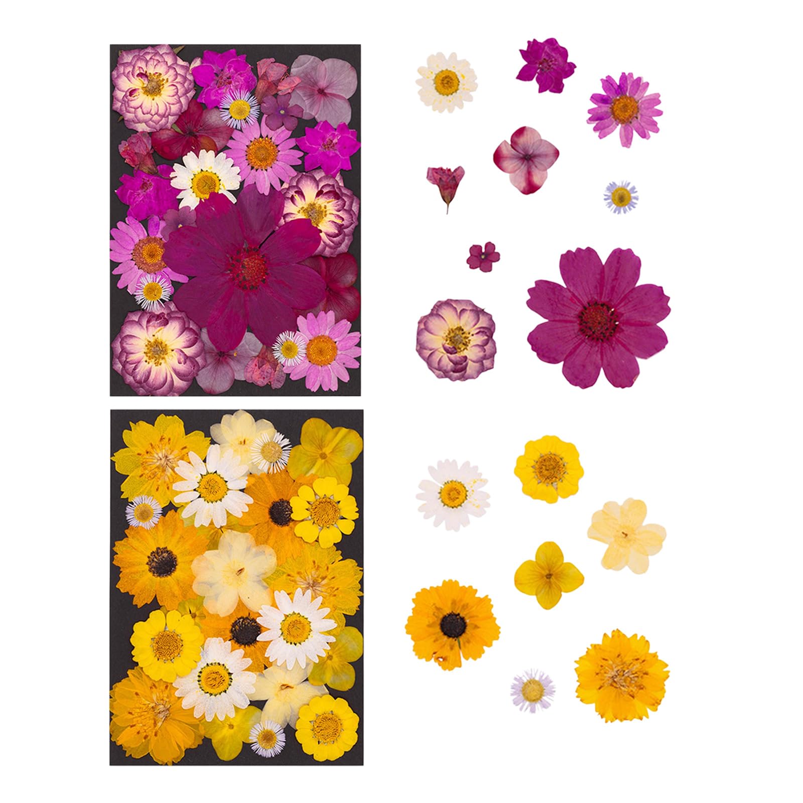 138 foglie fiori essiccati pressati naturali per realizzare candele, segnalibri in resina, artigianato, creazione gioielli, scrapbooking, veri fiori pressati per la custodia del