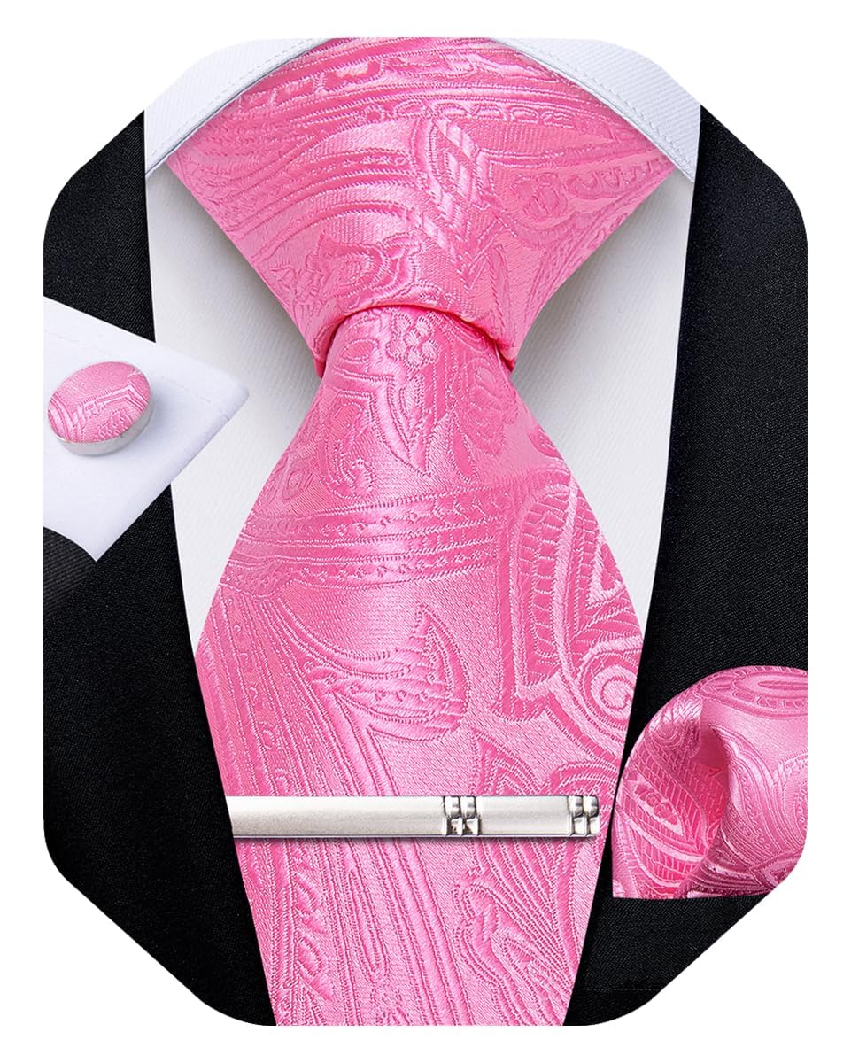 DiBanGu Silk Floral Ties for Men Woven Paisley Necktie
