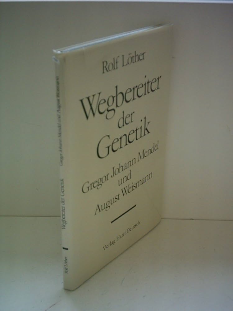 image not described image