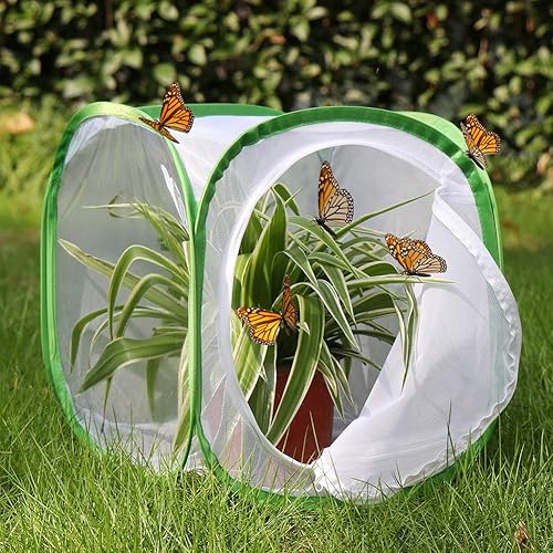Miniatura 48 de RESTCLOUD - Jaula de hábitat para insectos y mariposas, 23.6 pulgadas de alto Blanco con verde