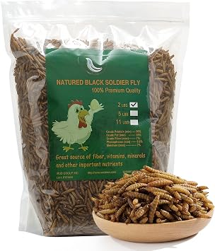 Non-GMO High-Protein Large Dried Black Soldier Fly Larva for Chickens, Natural Grubs and Poultry Treats as Chicken Feed,Duck Food, Wild Birds Seed,Reptile FoodBlack Soldier fly-2LB