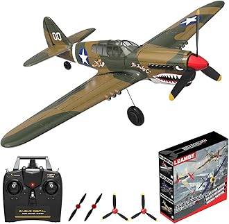 LEAMBE RC Plane 4 Channel Remote Control Airplane - Ready to Fly P-40 Warhawk RC Airplane for Beginners Adult with Xpilot Stabilization System & One Key Aerobatic
