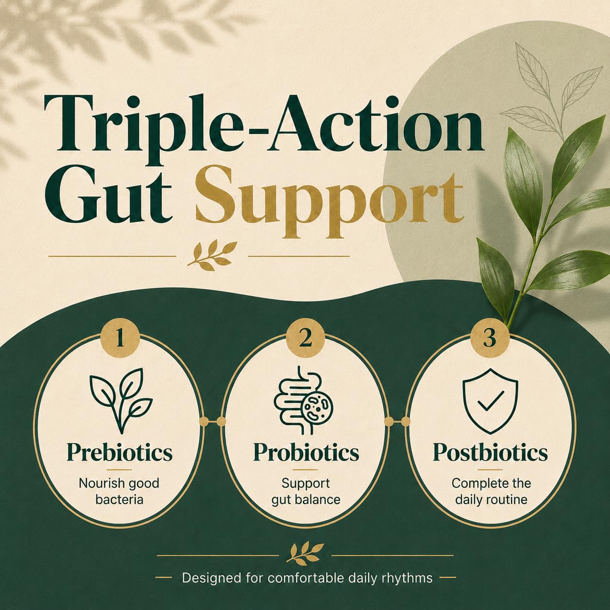 JEVAWELL Probiotic Kombucha Gummies - Prebiotics, Probiotics & Postbiotics - Slippery Elm Bark, Dandelion Root, Soluble Fiber & MCT Oil - Daily Gut Health & Digestive Comfort Support - 60 Count — Amazon image 3