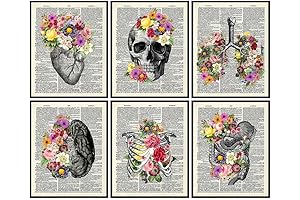 Vintage Human Anatomy Poster Set - Educate with Medical Wall Art