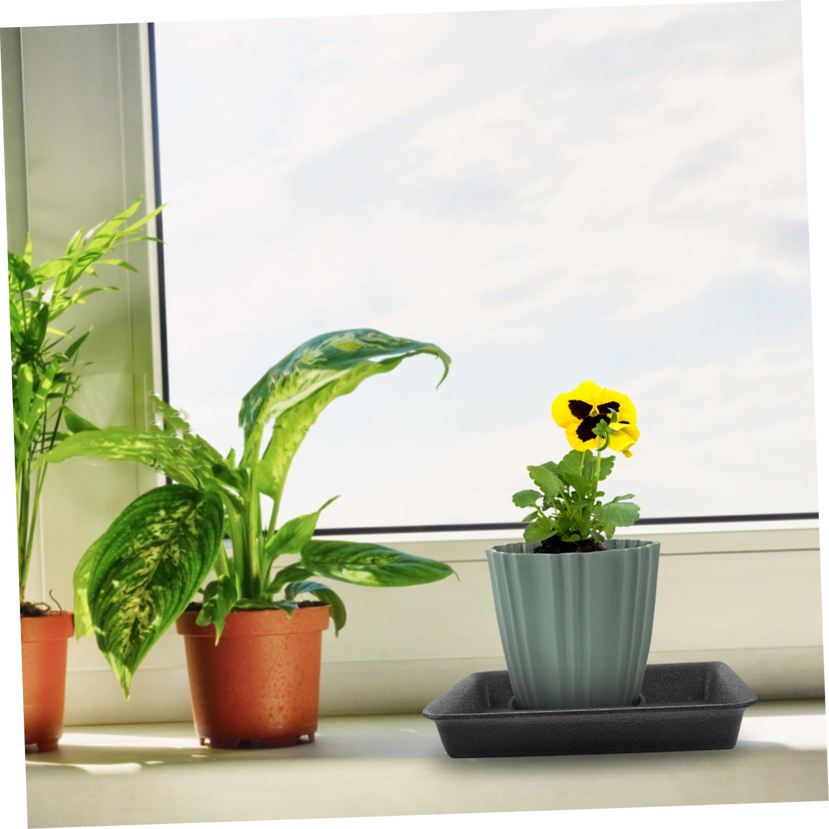Platillos Rectangulares Negro de Plástico para Macetas 6 Piezas | Bandeja para Plantas de Mesa, Uso Exterior y Jardín, Evita Fugas, Protege Suelos y Muebles