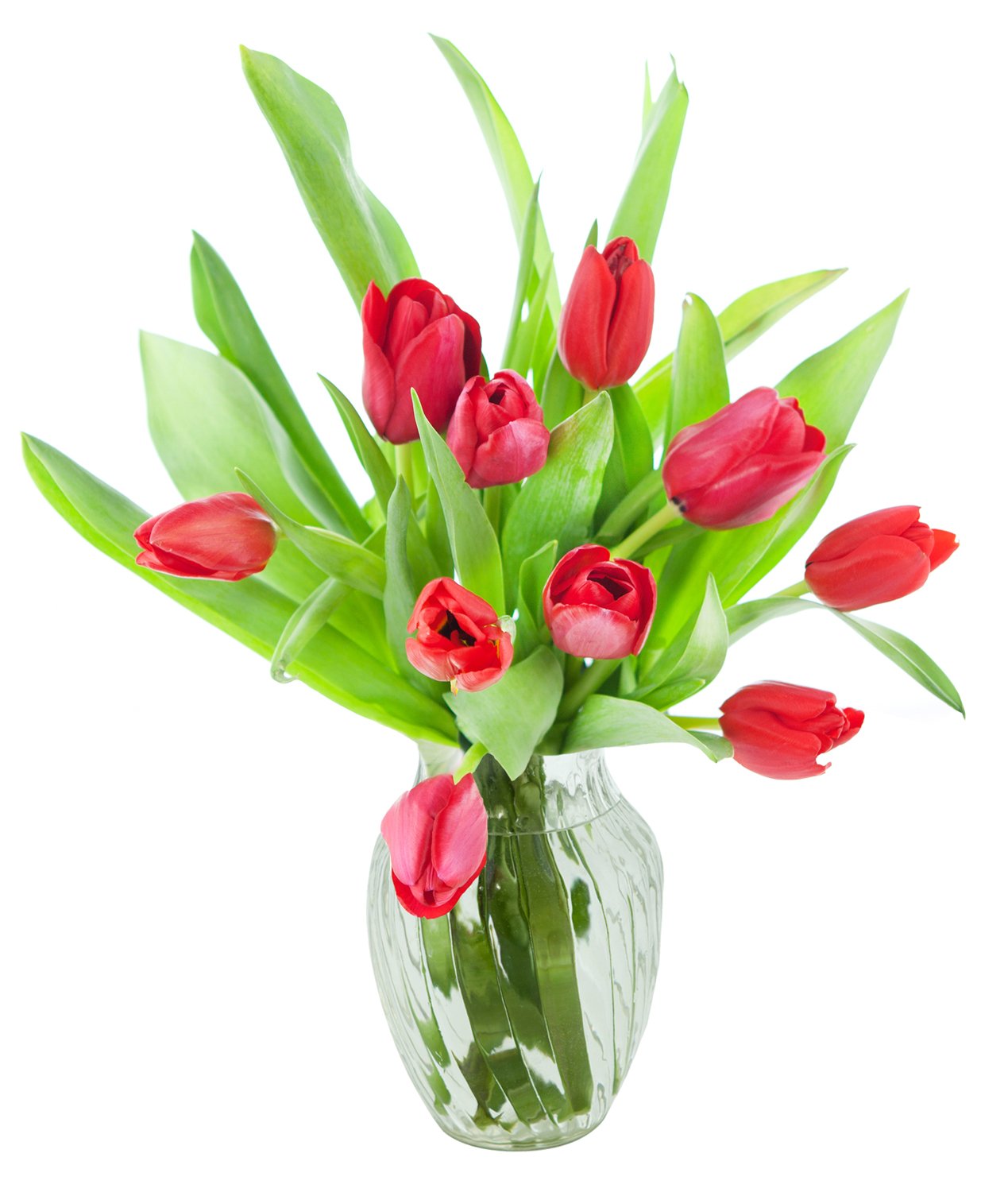 KaBloom-10 Red Tulip Bouquet,Flowers for Valentine, Mother's Day