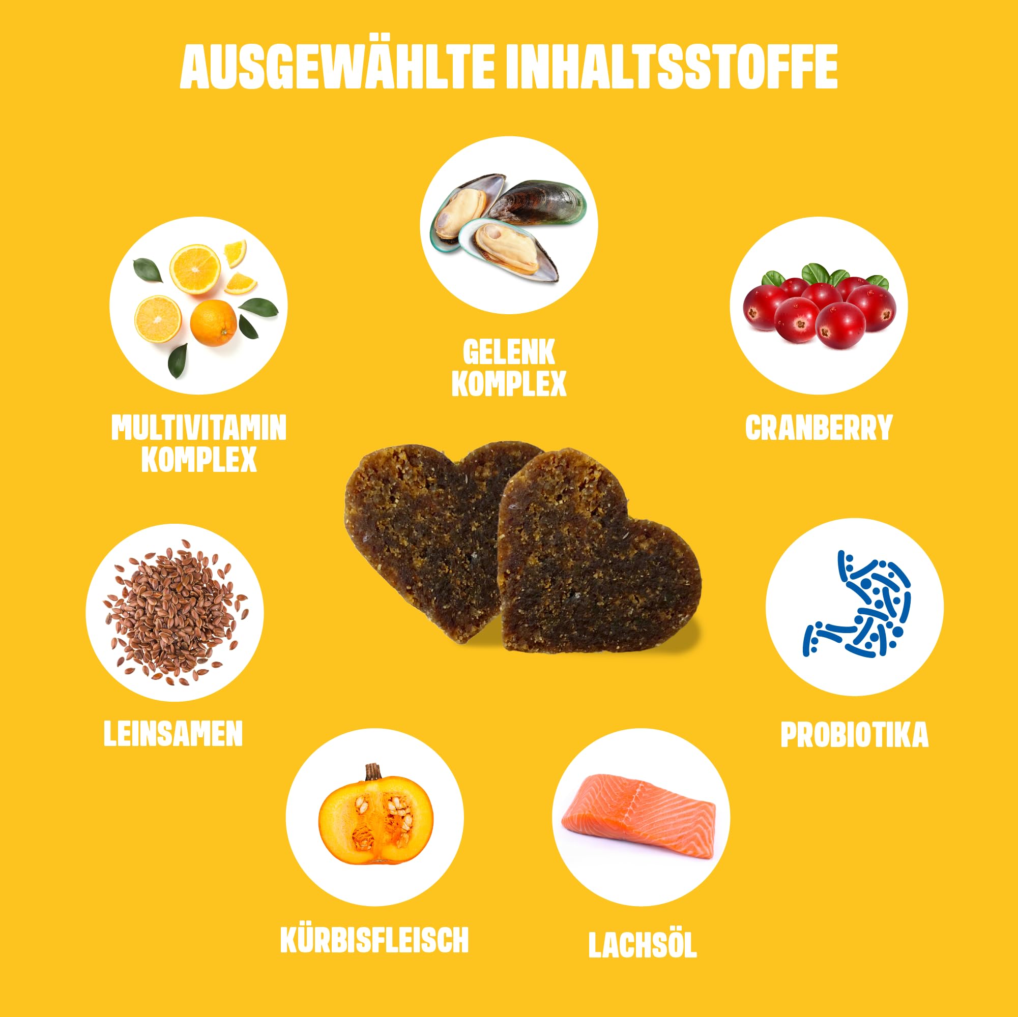 ivvi Multivitamin für Hunde als Leckerli – Rundumversorgung mit Probiotika, B Vitamine, Omega 3, Grünlippmuschel, Cranberry - 60 Snacks (270g) mit Huhn