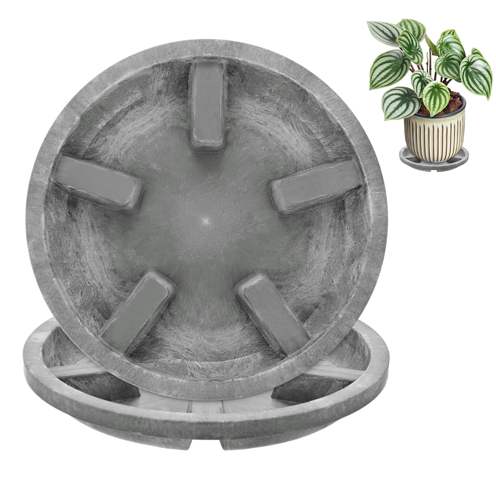 M METERXITY 2-Pack Plant Saucers 6 in OD Anti-Rot Root Resin, Gray