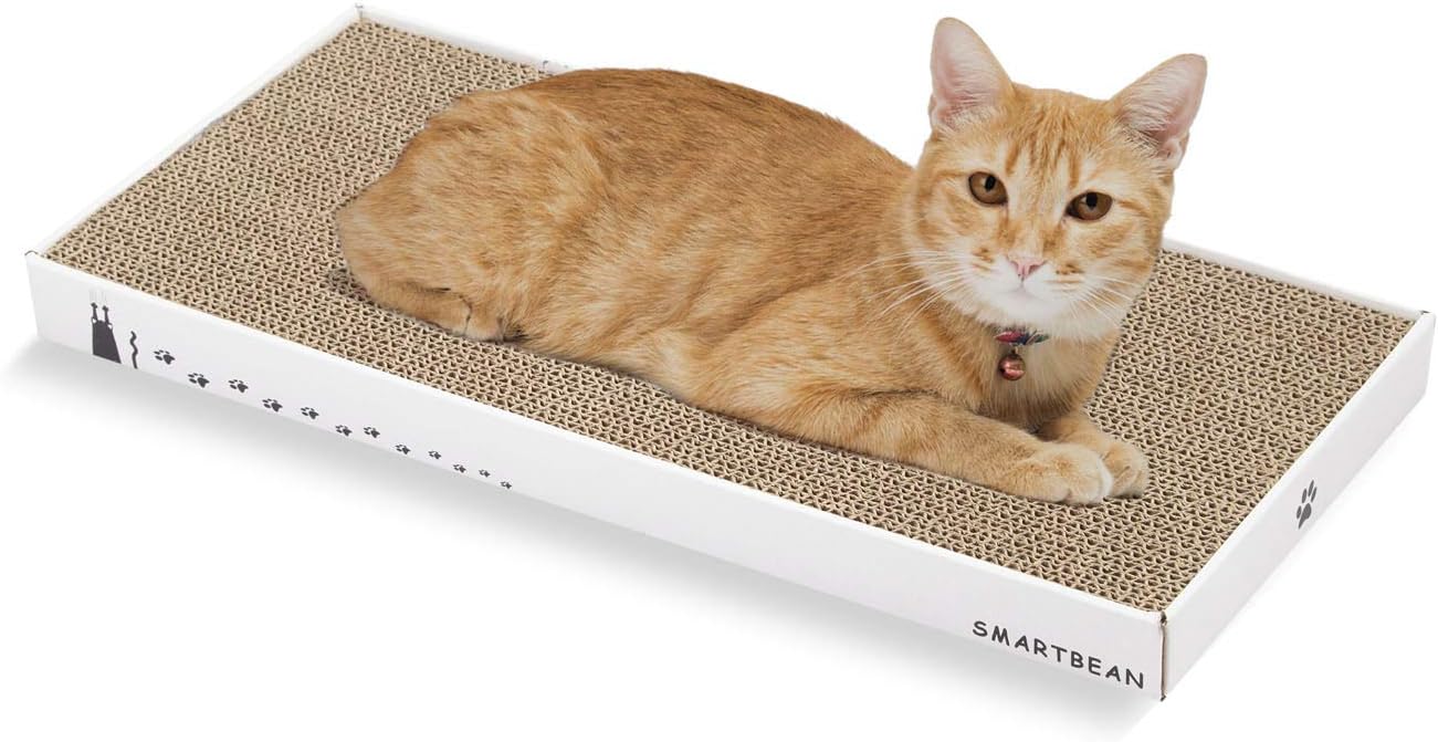 Cardboard Scratcher Pad Scratching post:Smartbean Cat Scratch Pad,Cat Scratching Post with Durable&High Density Cardboard, Indoor Toy for Cat, Double-sided Design For double life (16.5x7.9x1.2 inches) : Pet Supplies