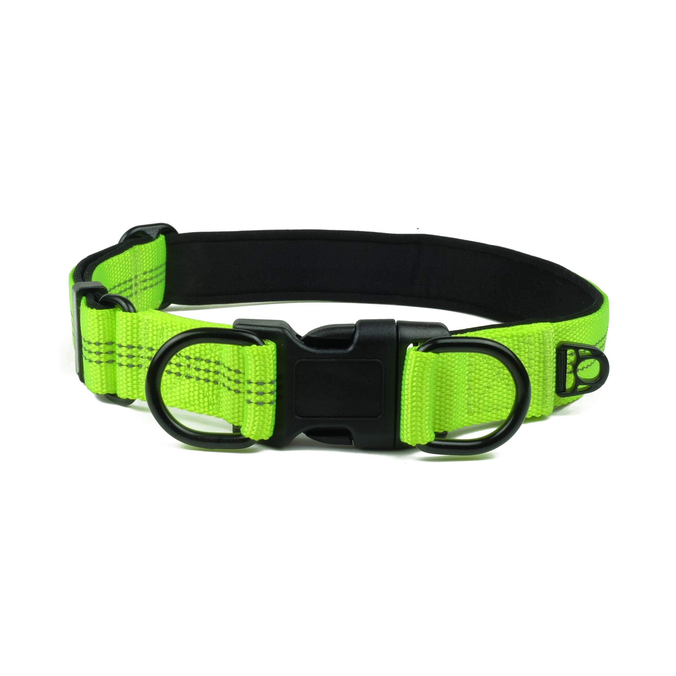 GarworReflective Dog Collar with Double D-Ring, Soft Neoprene Padded, Extra ID Tag D-Ring Attached, Buckle Adjustable Safety Nylon Pet Collars for Large Dogs(L, Neon Green)