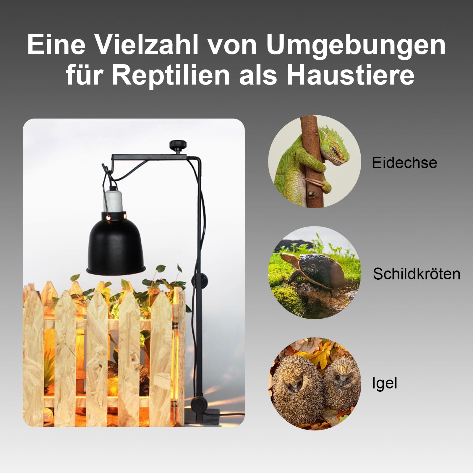 Billowvolve Reptilien Wärmelampenständer - Verstellbarer Halter Für Terrarien Lampen