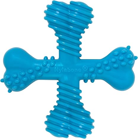 nylabone teething ring