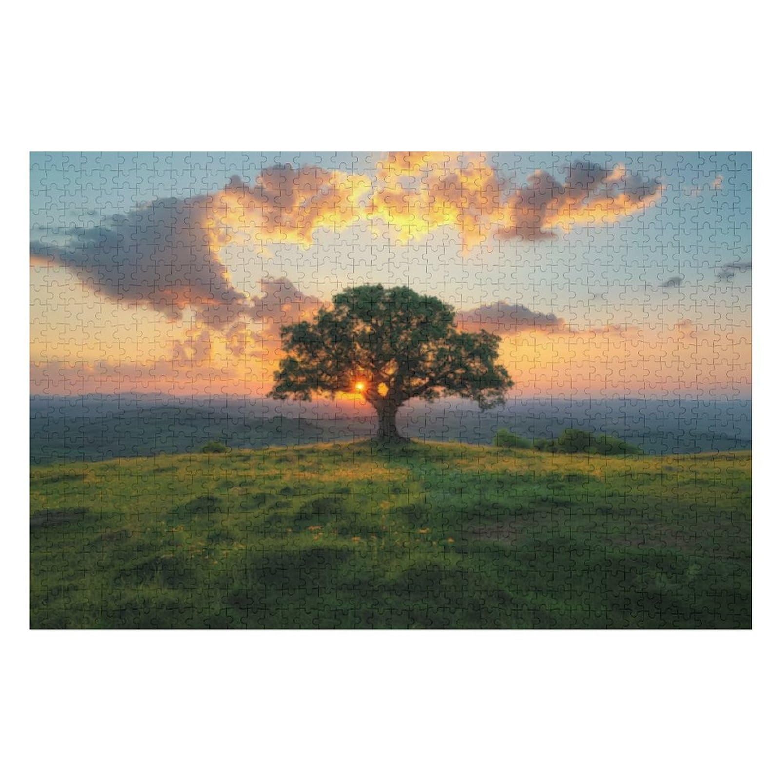 Amazon.com: Photorealistic View of Tree in Nature with Branches
