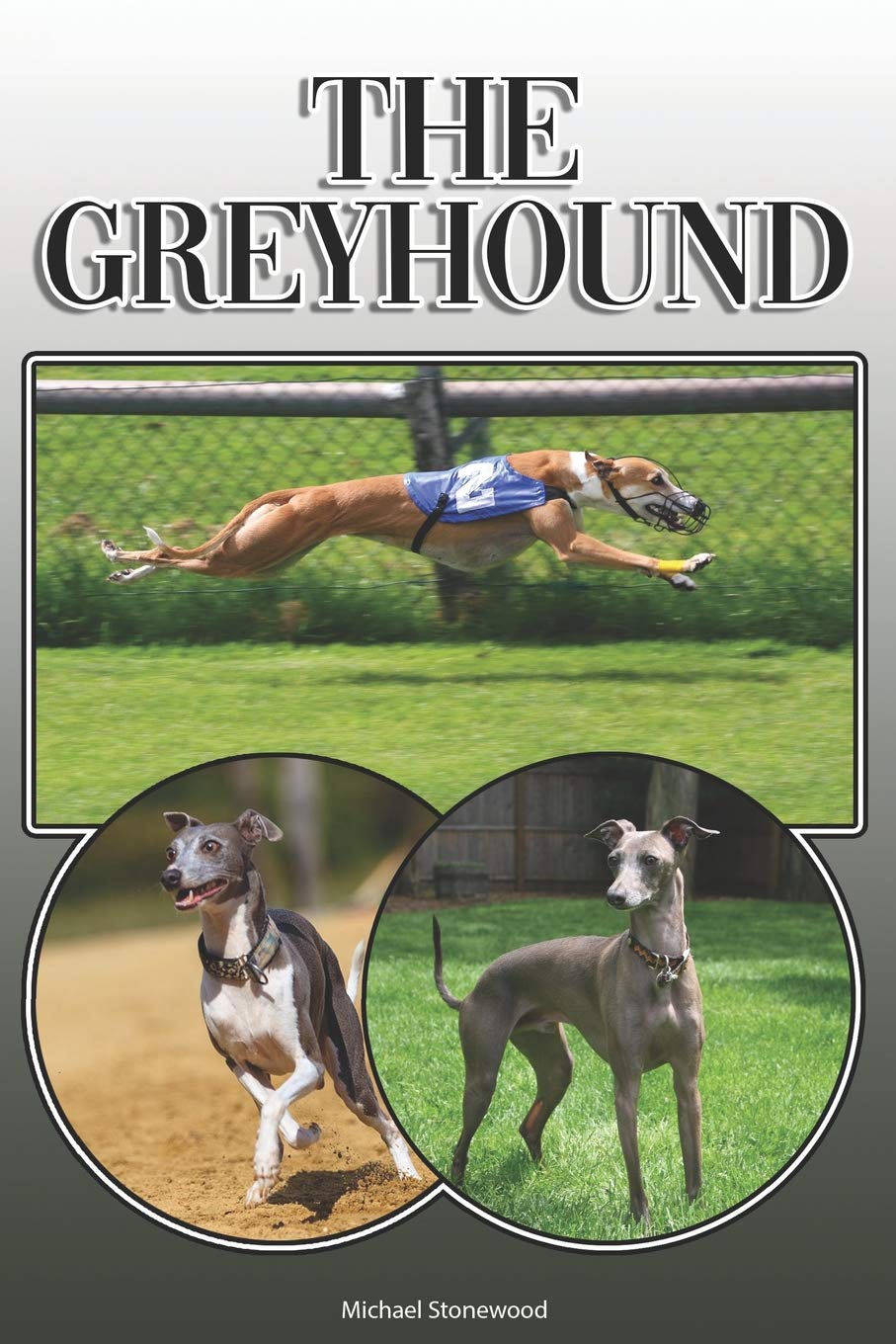 The Greyhound: A Complete and Comprehensive Owners Guide to: Buying, Owning, Health, Grooming, Training, Obedience, Understanding and Caring for Your Greyhound