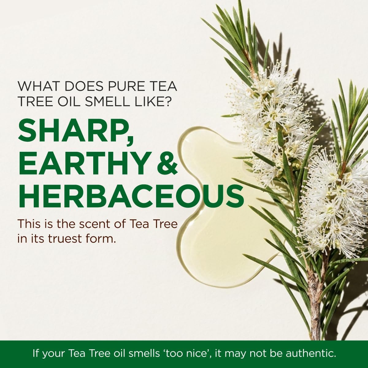 100% Pure Tea Tree Essential Oil for Skin & Diffuser - 4 Fl Oz
