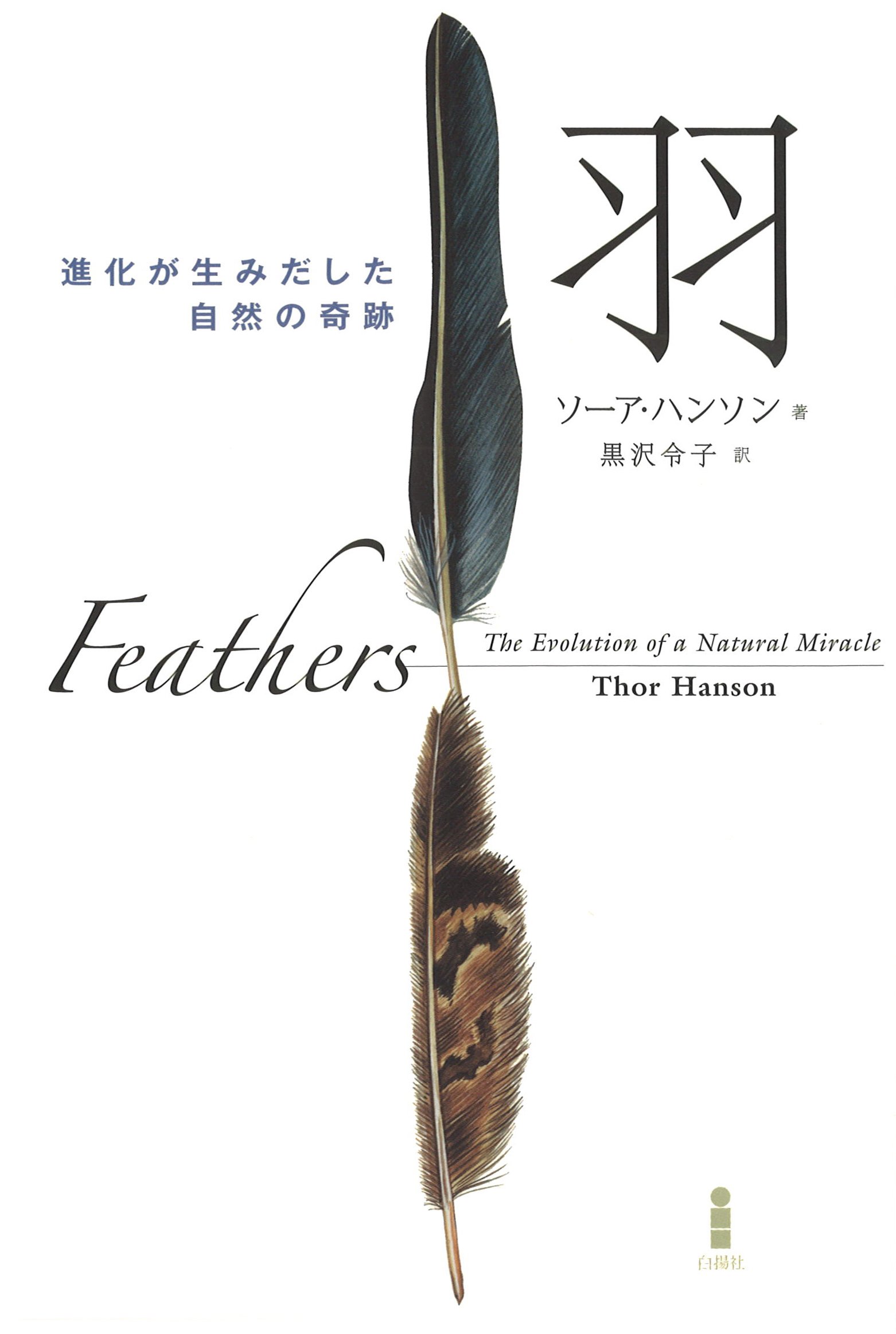 Amazon.co.jp: 羽: 進化が生みだした自然の奇跡 : ソーア