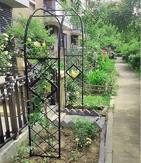 Heavy Duty Steel Garden Arbor & Trellis Arch for Grape Vines Climbing Plants Pergola Outdoor Theme Decoration Archway 180cm 260cm 340cm 140cm (Color : Black, Size : 55" W x 91" H)