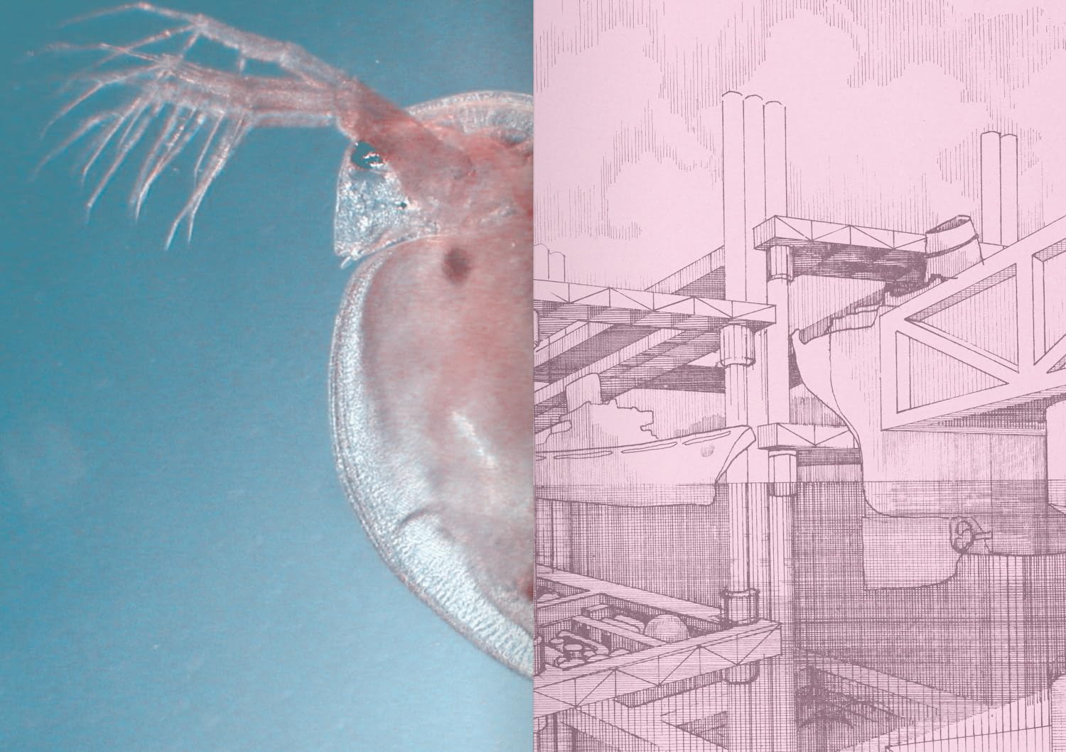 100 Words for Water /anglais: A Projective Ecosocial Vocabulary