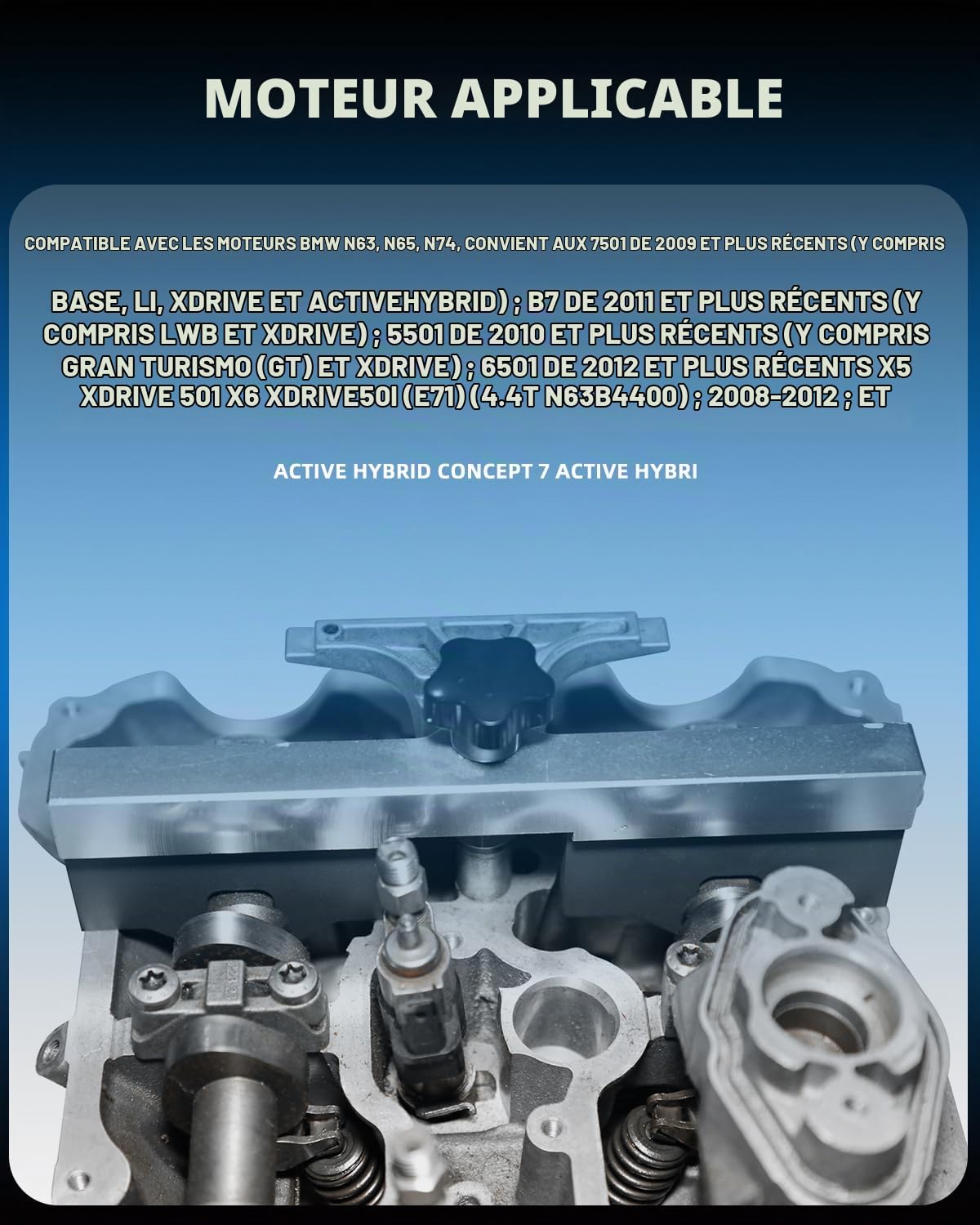DPTOOL Kit d'outils de Verrouillage de Calage du Moteur Compatible avec BMW V8 N63 S63 (sans levée de soupape) N65 N74 X5 X6 Drive 750I 760I Outil de Verrouillage du tendeur d'arbre à cames