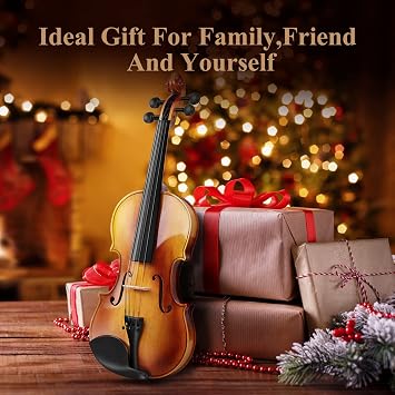 Eastar Violin 4/4 Solid Wood 2 Bows for Beginners and Advanced Violin Players EVA-330