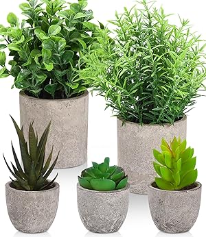 5 Pcs Plantas Artificiales Decorativas en Maceta, Hierba Suculenta de Arbustos de Imitación, Flor Falsa, Pequeña Planta Exterior Interior, Ideales para la Decoración de la Casa