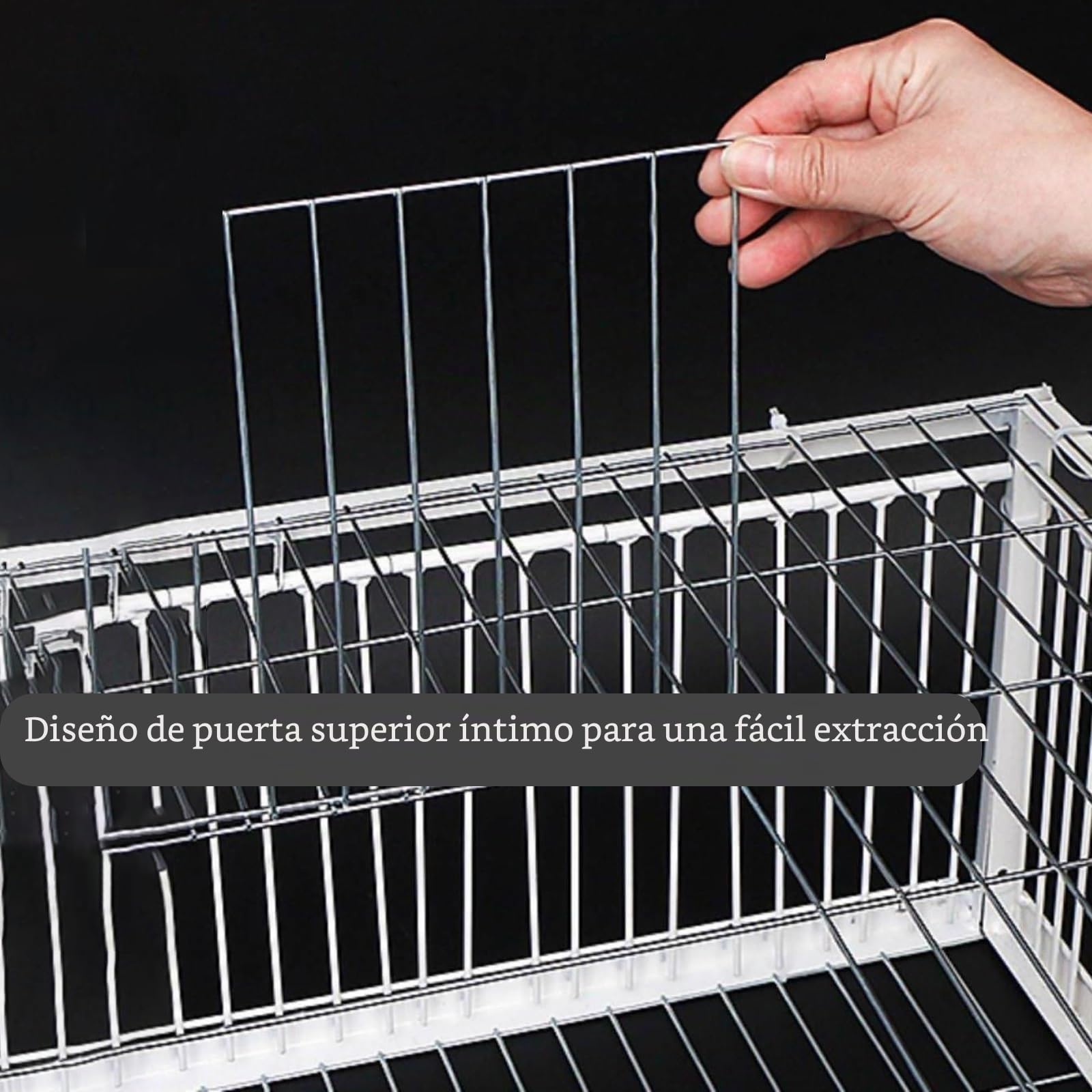 Trampa para Pájaros, Jaula Colectora Con Puerta de Gallinero de 40/60/70/90/100 cm para Palomas de Carreras, Loros, Puerta de Ventana, Suministros