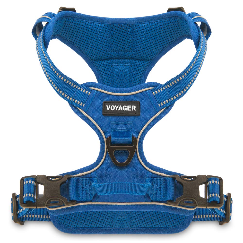Voyager by Best Pet Supplies, Dual-Attachment No-Pull Adjustable Harness with 3M Reflective Technology, (Royal Blue Lattice, Small)