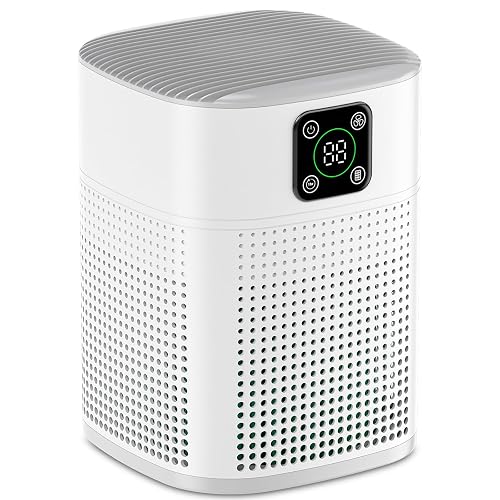 Air Purifiers for Bedroom, Honeyuan H13 HEPA Air Purifier