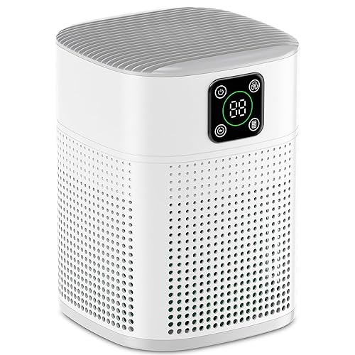 Air Purifiers for Bedroom, Honeyuan H13 HEPA Air Purifier for Home Large Room 1095 sqft, Air purifiers with 360°Air Intake, 3 Fan Speeds, 3-Stage Filtration, White - White