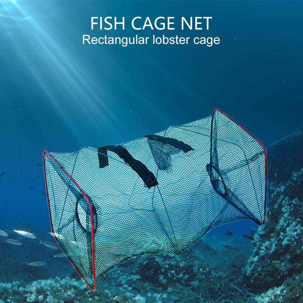 Nasse à Poissons/crabes/écrevisses Portable - Filet Piège Avec Corde Et Appât - 31,5 Cm Ou 50 Cm - 11