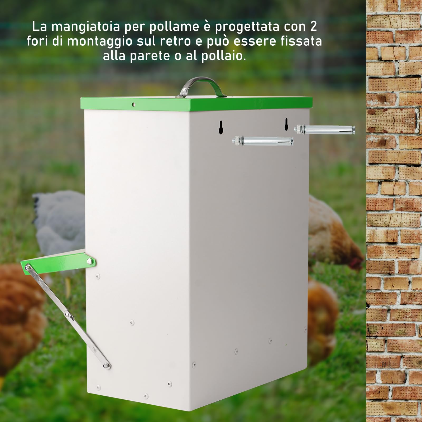 Mangiatoia Automatica Per Polli da 11 Kg Mangiatoia Per Pollame a Parete,Mangiatoia Per Pollame Senza Rifiuti,Mangiatoia Antipioggia Per Esterni Per Impieghi Gravosi Per Polli,Anatre,Tacchini D'Oca