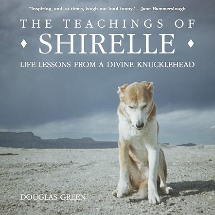 The Teachings of Shirelle