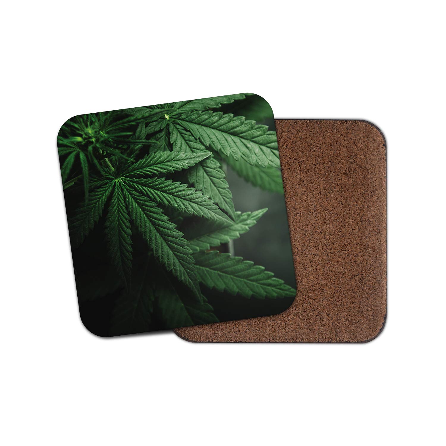 Destination Vinyl Ltd Boys Multicolor The Marijuana Plant Coaster - Cannabis Weed Leaf Medical #16564