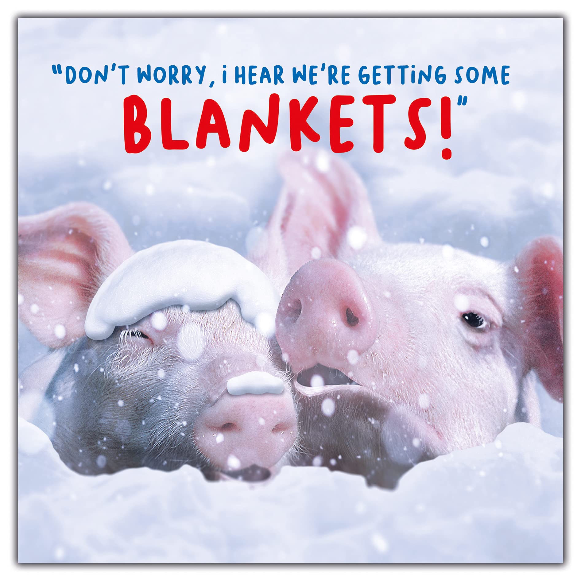 Emotional Rescue Christmas Card Generic, Funny Christmas Card, Funny Christmas Card, Xmas Card, Generic Christmas Card, Christmas Cards Funny, Funny Christmas Cards, Rude Christmas Cards,163x163mm