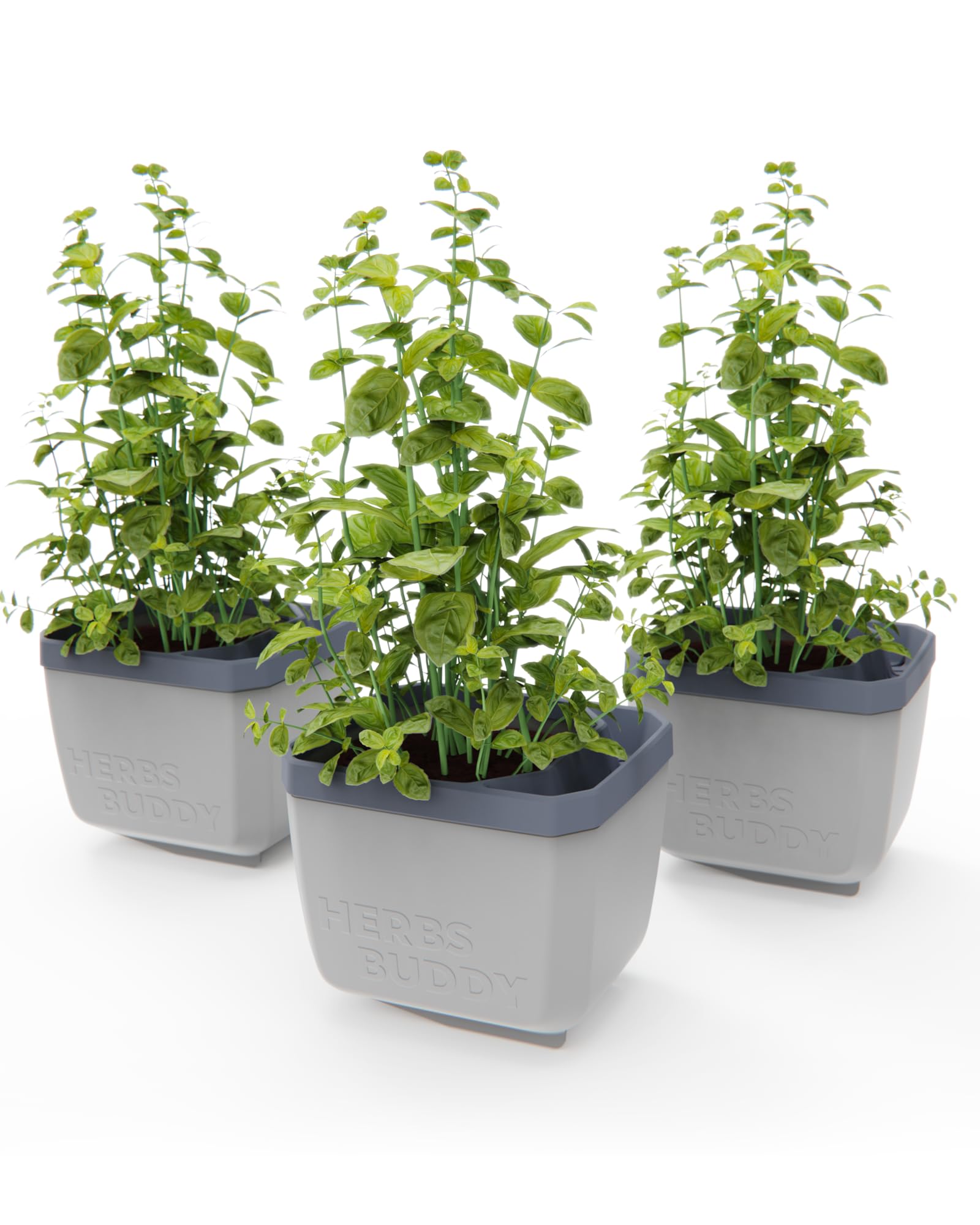 Gusta Garden Light/Grey Herbs Buddy Herb Pot With Water Reservoir - 3 Pcs