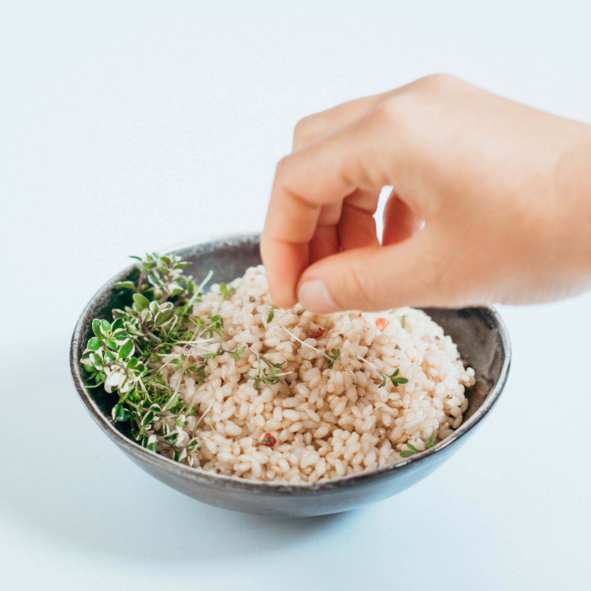 AHO Spices Riz 850 g, riz germé biologique, riz naturel à grains entiers, riz GABA, contient de l'acide gamma aminobutyrique