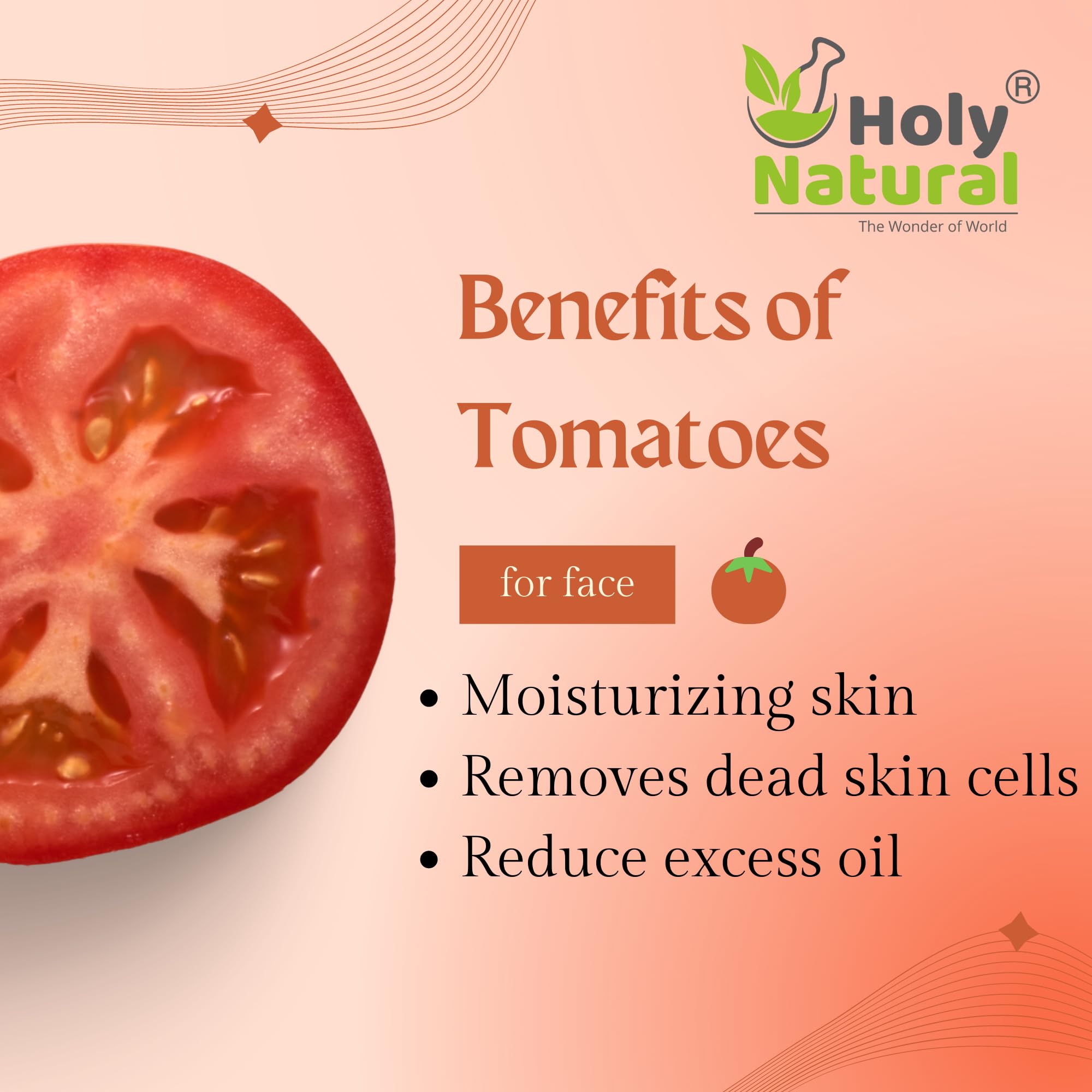 Holy Natural Tomato Powder (100 gm), Rich in Source of Vitamin A and C, Spray Dried & Delicious, Great for Tomato Soup, Juice, Ketchup & Seasoning, Tasty to Your Dishes. 1