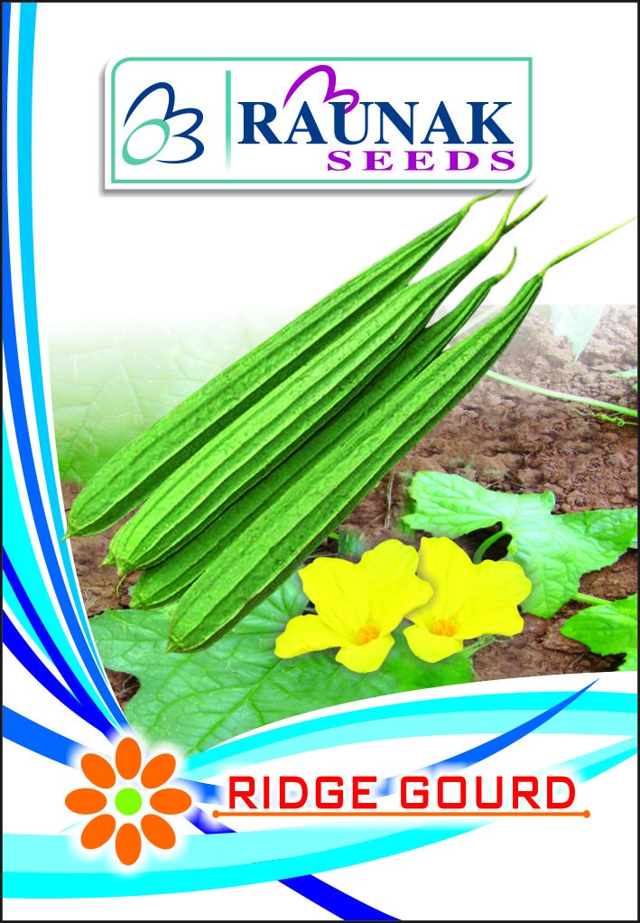 Indica Tori CHIKNI DESI 20 Seeds / 4 Packets OP Quality (RAUNAK Seeds Brand) Sold by SUPER AGRI GREEN (B01EIKKXOU) Amazon Price History, Amazon Price Tracker