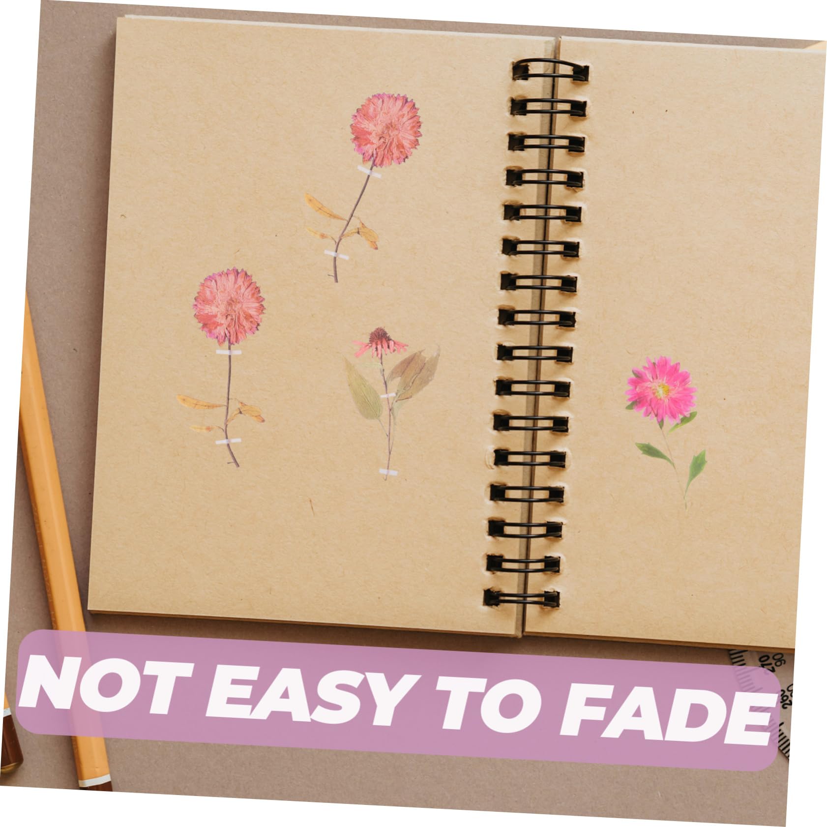 Angoily 3 Series Pegatinas Decorativas Para Scrapbooking De Calcomanías De Flores Secas Adornos Para Álbumes Diarios Y Manualidades Estilo Botánico Y Estético Accesorios Para 6 Paquetes*3