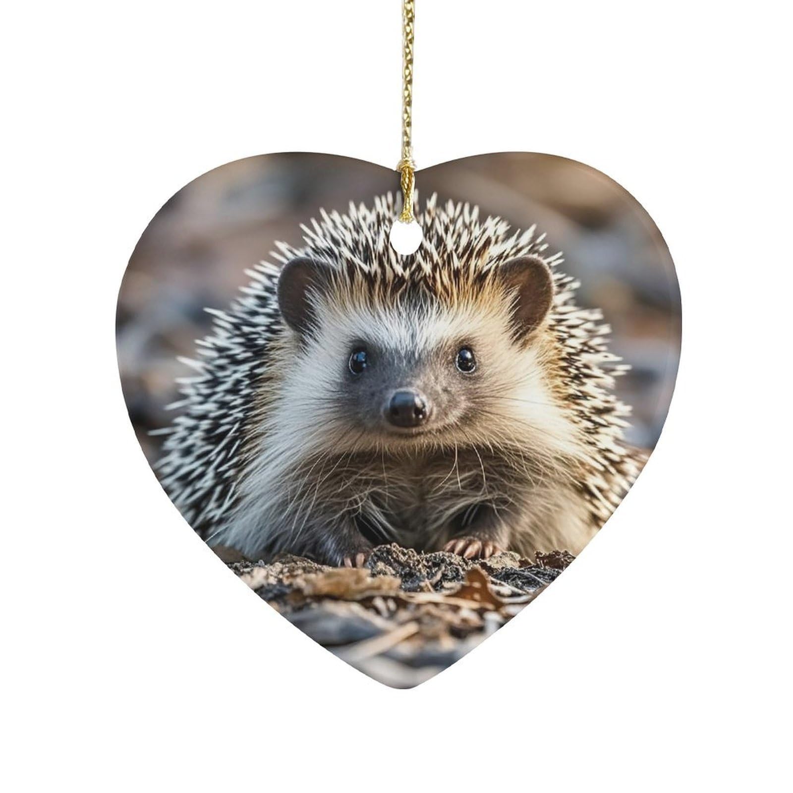 Hedgehog Heart Ornament Precious Heart-Shaped Pendant Idea Ceramic Ornaments with Gold String Personalized Heart Shaped Decoration for Outdoor Party Love