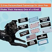 Vista 3 de Joyride Harness 2.0 - El Arnés Original para Perros Sin Tirones con Anillo Lateral - Sin Estrangulamiento, A Prueba de Escapes, Reflectante, 3 Clips