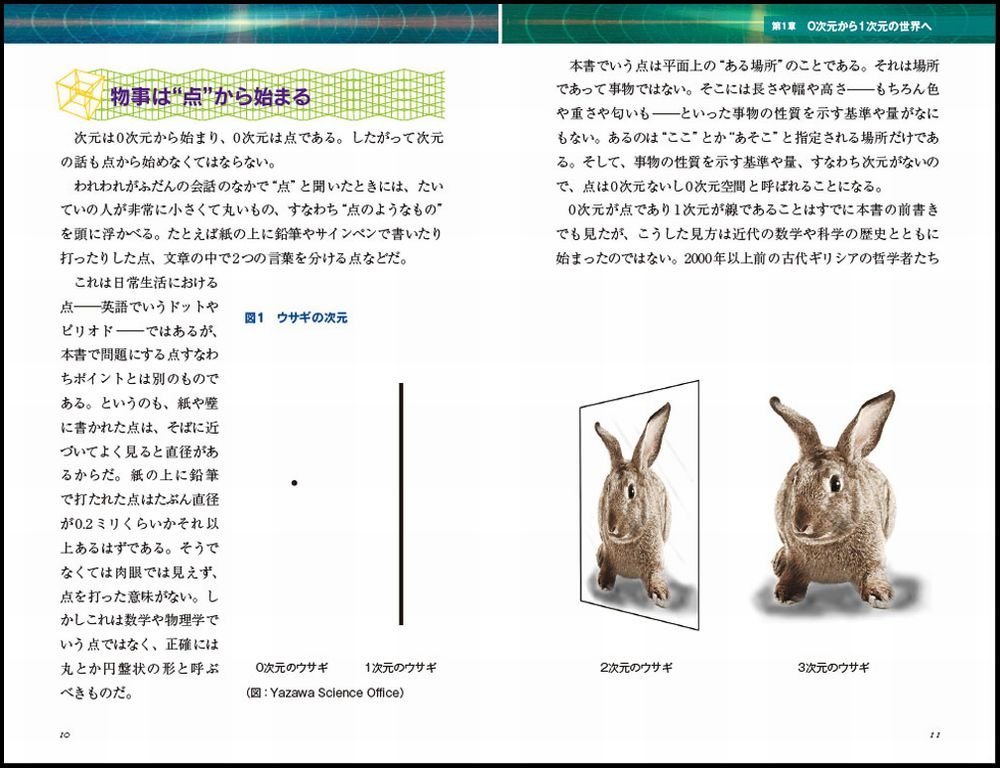 次元とはなにか 0次元から始めて多次元 余剰次元まで 空間と時空の謎に迫る サイエンス アイ新書 矢沢 潔 新海 裕美子 ハインツ ホライス 本 通販 Amazon