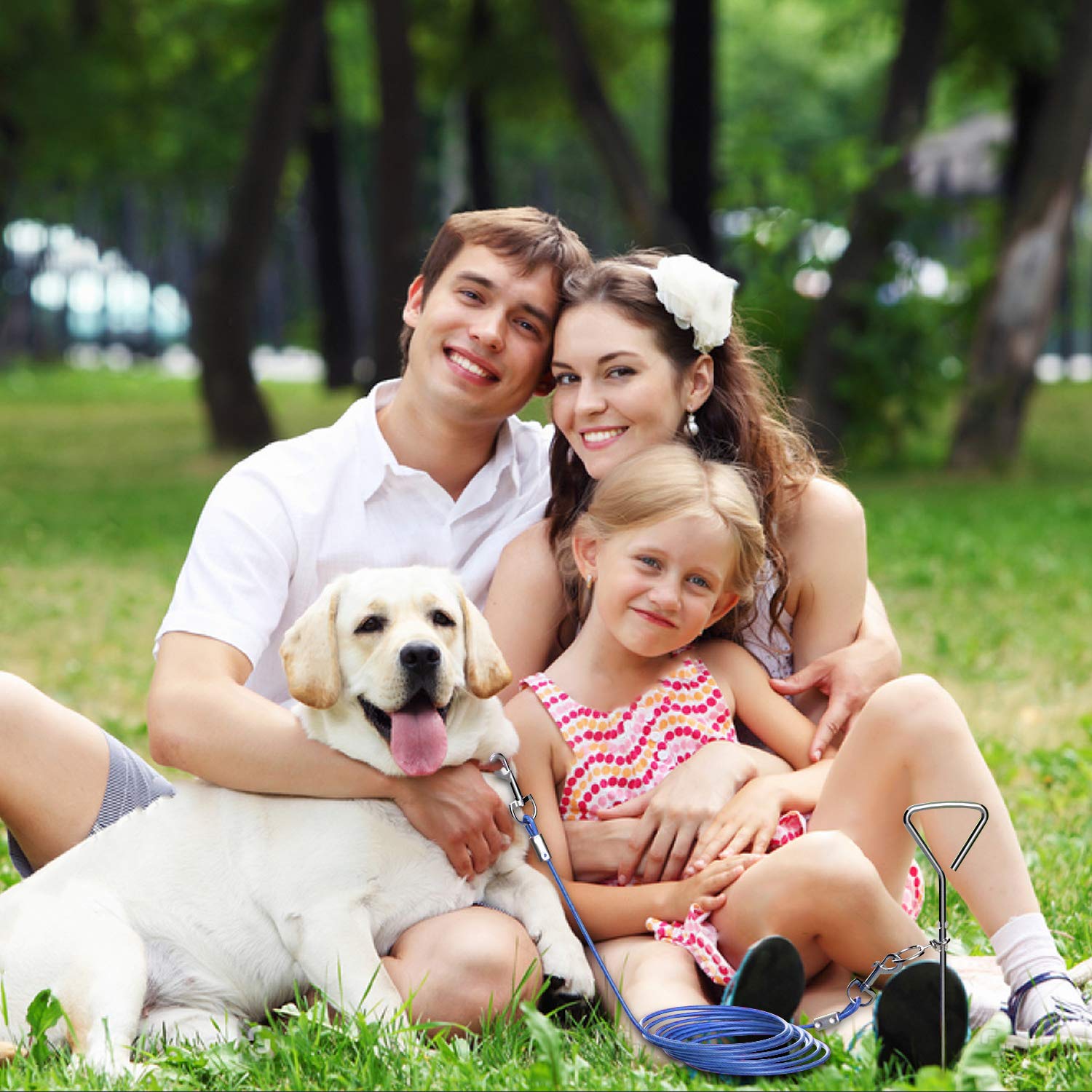 Dog Tie Out Cable and Anti Rust Spiral Stake , 30ft Outside Leash&Chain for Camping and Yard, 16'' Heavy Duty for Medium-Large Dogs Up to 125 lbs (30FT, Blue) - image 2