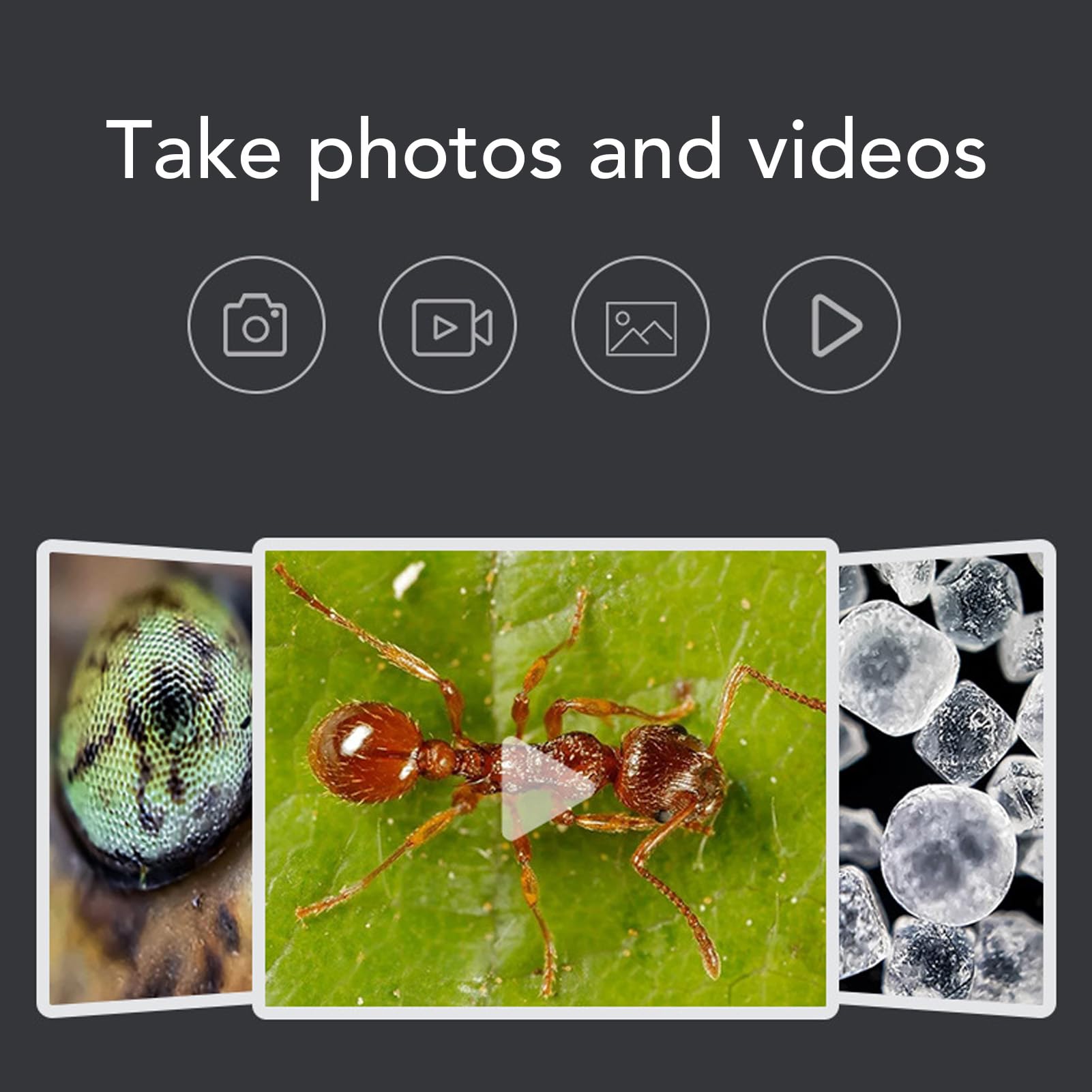 Microscopio Digital de Mano con Pantalla, Cámara de Microscopio Portátil de Bolsillo para PC ABS, 400X a 800X 720P, Batería de 700 MAh, para Trabajo Escolar, Estudiantes, Observación en el