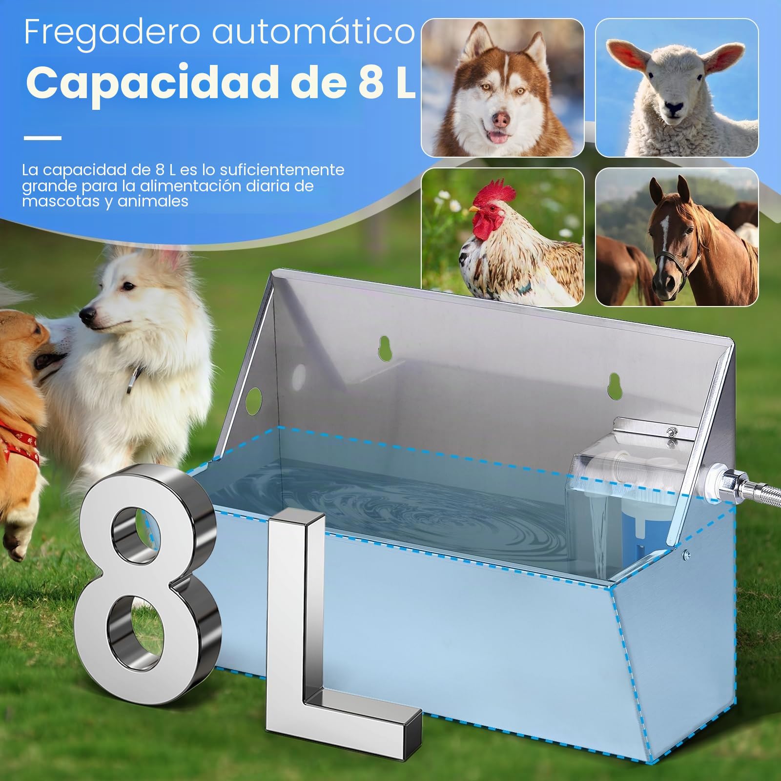 Bebedero automático para pollos y pollitos Bebedero automático para aves de corral para pollo pato ganso pavo paloma